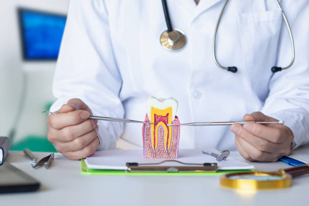 Best Dental Abscess Treatment in Sutherlin, OR